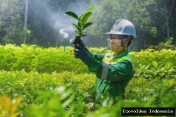 PT Vale: 10 Inovasi Canggih Redam Dampak Negatif Pertambangan
