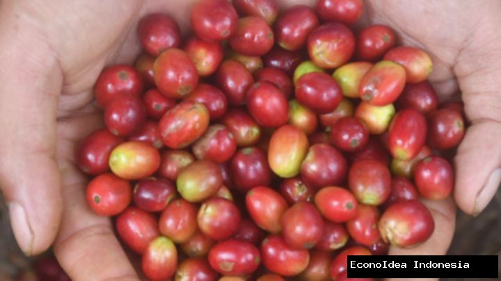 Menteri Zulhas Singgung Kualitas Kopi RI Tertinggal Vietnam: Masalahnya di Sistem Pertanian?