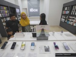 Harga Terbaru iPhone 11 hingga 16 Series Juni 2025: Update Lengkap